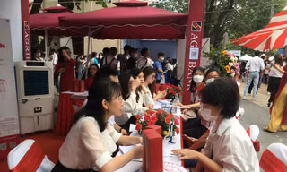 Tư vấn việc làm cho người lao động