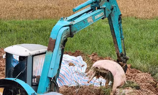 Hà Nội: Tiêu hủy, xác minh gần 3 tấn thịt lợn nhiễm dịch tả lợn Châu Phi