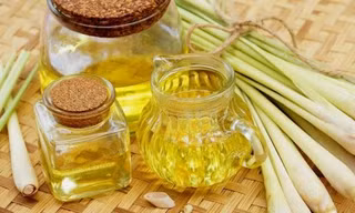 Bộ Y tế: Không được xông trực tiếp tinh dầu sả, chanh vào người để phòng, chống COVID-19
