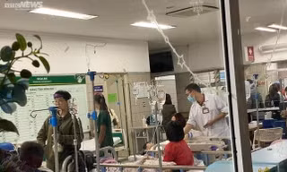 Thông tin mới nhất vụ 50 học sinh tiểu học ở Hà Nội ngộ độc sau khi đi dã ngoại