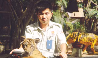 Con hổ tên “Bi” Ảnh: T.N.A