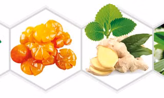 Dịch ép quả tắc, đường phèn kết hợp cao lá thường xuân, tinh dầu (gừng, húng chanh, tràm) giúp bổ phế, nhuận phế, giảm ho cho trẻ