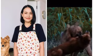 Tại sao YouTuber Giang Ơi lại bất ngờ lên tiếng chỉ trích gay gắt phim “Cậu Vàng“?