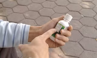 Đi mua thuốc trường sinh
