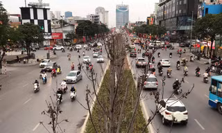 Sau 3 năm hàng phong trồng tại Hà Nội lá vẫn chưa đỏ