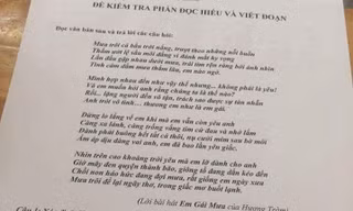 Ca khúc 'Em gái mưa' vào đề kiểm tra Văn, Vật lý