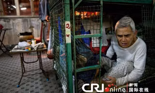 Nhà 'vỏ ốc', 'quan tài', 'lồng thép' ở Hong Kong 