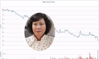 Giá cổ phiếu DQC đang tiếp tục lao dốc.