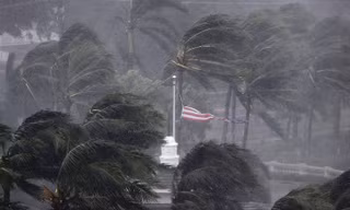 Ảnh: CNN