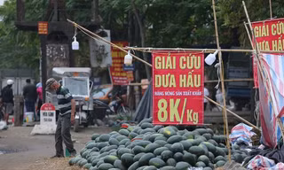 Trái cây siêu rẻ tràn vỉa hè Hà Nội và TPHCM; hàng loạt tivi hạng sang giảm giá ‘kịch sàn’