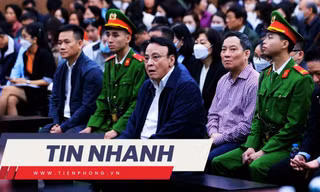 TIN NHANH: Chủ tịch Tân Hoàng Minh xin lỗi; bé 2 tuổi tổn thương não vì rung lắc