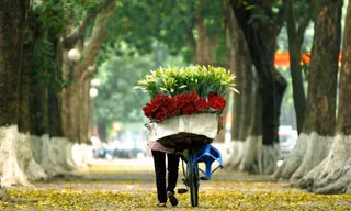 Thời tiết 20/10: Hà Nội nắng đẹp trước khi đón gió mùa đông bắc