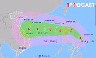 ĐIỂM TIN 22/10: Bão số 6 Trà Mi gây mưa lớn cho các tỉnh, thành nào? 