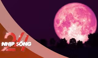 NHỊP SỐNG 24: 'Trăng dâu tây' tháng 6 sẽ xuất hiện ở vị trí rất kỳ lạ?