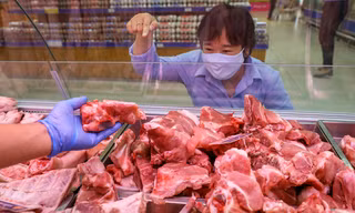 Giá lợn hơi giảm mạnh