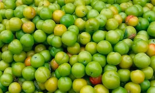 Bán 1kg mận không đủ mua cốc trà đá, trào lưu chơi thú cưng độc lạ ở Long An