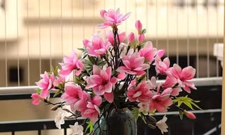 Hoa mộc lan thơm quyến rũ, sang chảnh được chị em ráo riết săn lùng; máy giặt sấy giảm giá ‘sập sàn’ dịp Black Friday