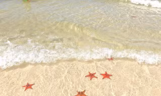 Tuyệt đối đừng làm điều này khi "check-in" tại vương quốc sao biển ở Phú Quốc
