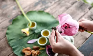 Trà ướp sen giá 10 triệu đồng/kg hút khách không ngờ