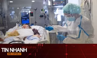 TIN NHANH: Giải mã lý do COVID-19 gây tổn thương kéo dài trong cơ thể