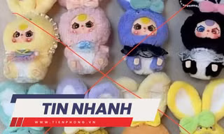 TIN NHANH: Lý do nhiều người Việt quay sang tẩy chay búp bê Baby Three