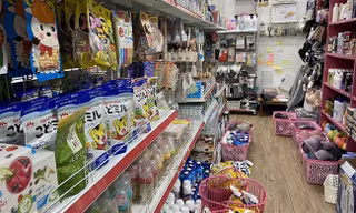 Thị trường 27/10: Vú sữa đầu mùa được giá, hàng xách tay vẫn nhộn nhịp sau lệnh 'siết'