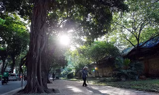 Thời tiết 7 ngày tới trên cả nước ra sao?