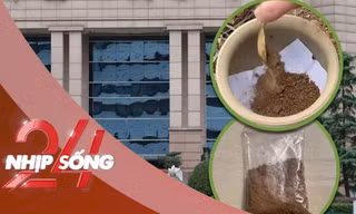 NHỊP SỐNG 24: Các thầy giáo mặc váy múa thiên nga mừng ngày 8/3 gây sốt