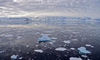 El Nino sắp đạt đỉnh điểm, thời tiết mùa đông diễn biến thế nào?