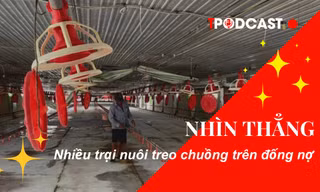 NHÌN THẲNG: Nhiều trại nuôi 'treo chuồng' trên đống nợ