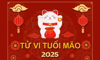 TỬ VI TUỔI MÃO 2025: Vượt qua Tam Tai, sự thành lộc phát