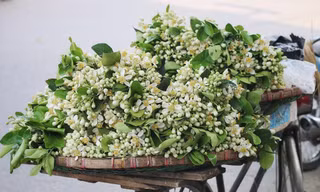 Hoa bưởi đầu mùa xuống phố giá đắt như hoa ngoại; dâu tây Mộc Châu ‘nhuộm đỏ’ chợ mạng