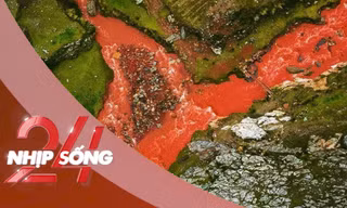 NHỊP SỐNG 24: Giải mã dòng sông nước đỏ dị thường