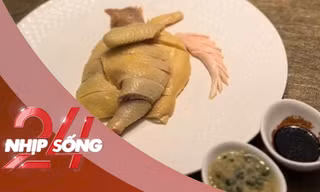 NHỊP SỐNG 24: Đĩa gà luộc có giá 1,6 triệu đồng gây tranh cãi