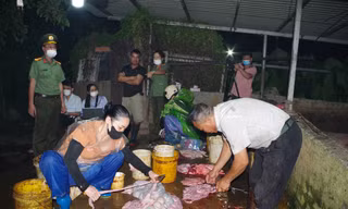 Phát hiện gần 3 tấn thịt lợn nhiễm dịch tả lợn châu Phi