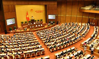 Chính phủ đề nghị rút Luật Đất đai sửa đổi khỏi chương trình năm 2019 