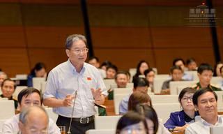 Đại biểu Quốc hội Nguyễn Bá Thuyền
