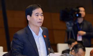 Phó Chủ nhiệm Uỷ ban Tư pháp Nguyễn Mạnh Cường