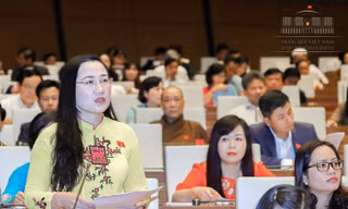 Đại biểu Nguyễn Thị Thuỷ