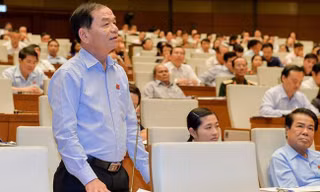 ĐBQH Lê Thanh Vân
