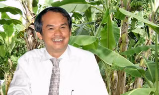 Bầu Đức có thể lãi nghìn tỷ nhờ vườn chuối