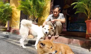 Hơn 1 tỷ đồng tài trợ để người Hội An nói không với thịt chó, mèo 