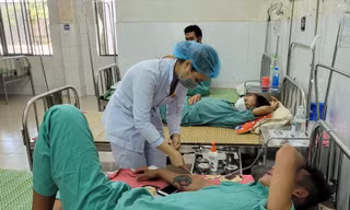 Quảng Nam ghi nhận 11.880 ca sốt xuất huyết, cao nhất miền Trung, có ca tử vong 