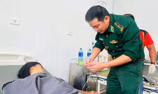 Giận chồng, phụ nữ 19 tuổi ở Quảng Nam ăn lá ngón để tự tử