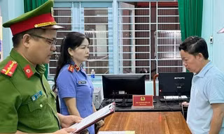 Quảng Nam: Một tổng giám đốc bị bắt vì phá rừng