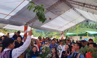 Công nhận tri thức dân gian về sâm là Di sản văn hóa phi vật thể quốc gia