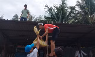 Người dân Quảng Nam cấp tập chằng chống nhà cửa chạy bão Noru