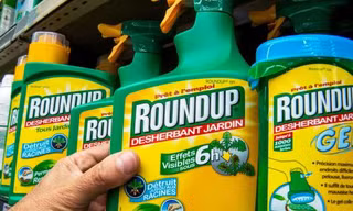 Bộ NN&PTNT loại bỏ Glyphosate ra khỏi Danh mục thuốc BVTV được phép sử dụng tại Việt Nam vì nguy cơ gây ung thư