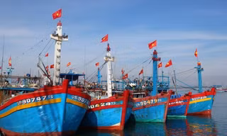 Tổng cục Thủy sản đã cấp hạn ngạch khai thác ngoài khơi cho tàu cá của 28 tỉnh, thành ven biển