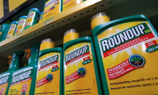 Bộ NN&PTNT chính thức loại bảo thuốc diệt cỏ Glyphosate ra khỏi danh mục thuốc BVTV được phép sử dụng tại Việt Nam